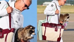 Craque Erling Haaland gasta fortuna em ursos de pelúcia após derrota na Copa do Mundo