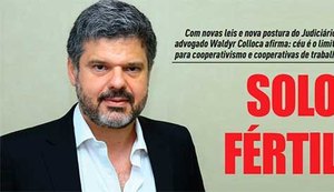 Novo mundo do trabalho pede mais cooperativismo e empreendedorismo