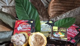 Cacau ganha força em Matriz de Camaragibe com apoio do Sistema Faeal/Senar