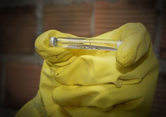 Ações de combate e educação marcam a luta contra Aedes aegypti