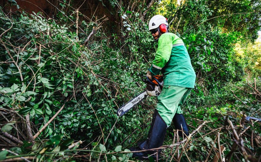 Maceió tem aumento de 50% em ações de poda e supressão de árvores no período chuvoso