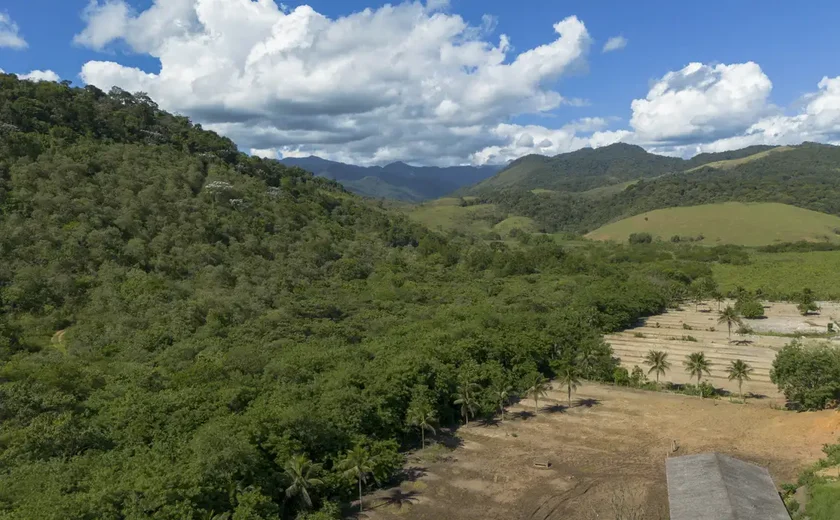 Agricultura ganha 11 milhões de hectares em 41 anos na Mata Atlântica