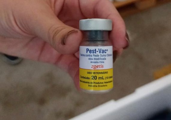 Peste Suína Clássica: servidores da Adeal reforçam trabalho após a chegada da vacina