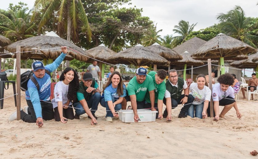 Mais de 130 tartarugas marinhas são soltas no mar durante ação ambiental em Coruripe