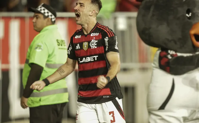 Flamengo vence o Galo e é o novo líder do Campeonato Brasileiro