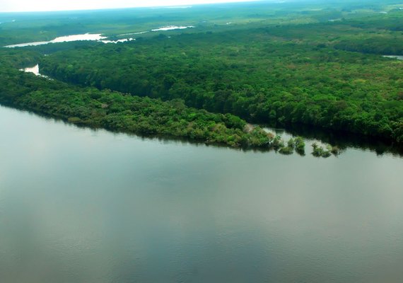COP30: países amazônicos anunciam monitoramento conjunto da floresta