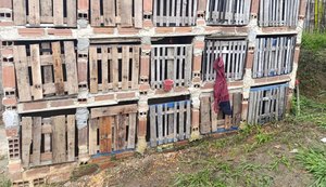 Homem que participava de rinhas de galo é morto a tiros no bairro Cidade Universitária