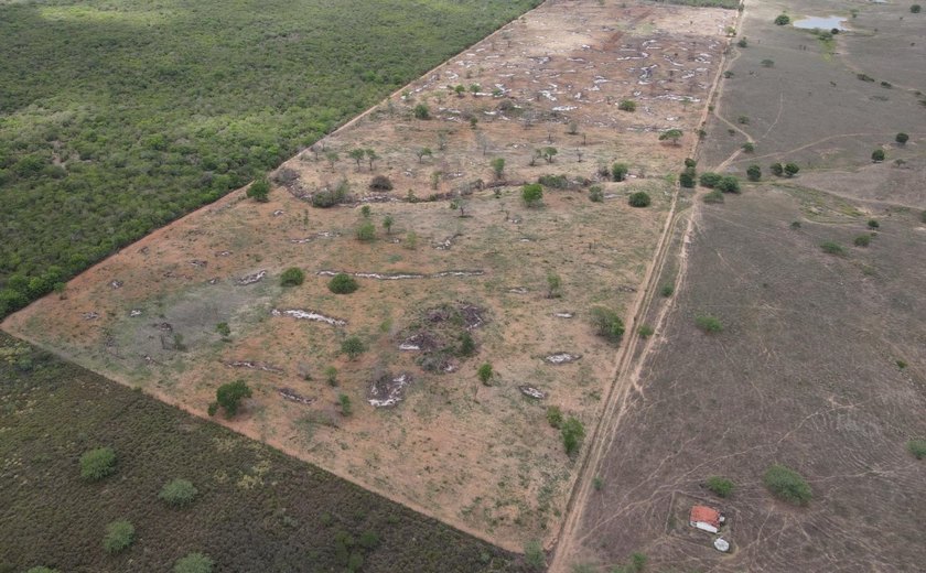 MP/AL firma acordos para recuperação de áreas de Caatinga degradadas em Traipu e pagamento de indenizações