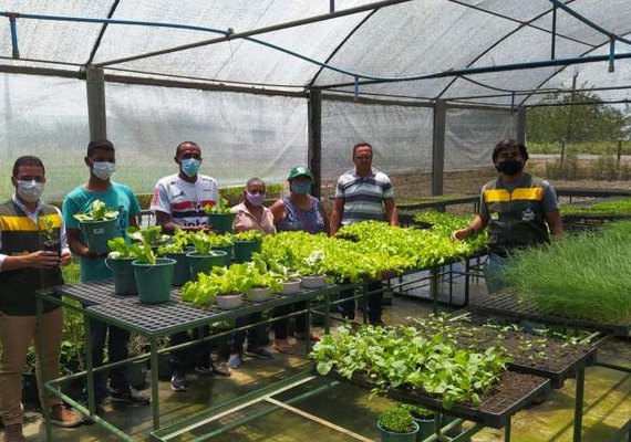 Governo de Alagoas e Cooperativa Pindorama potencializam oportunidades a quilombolas