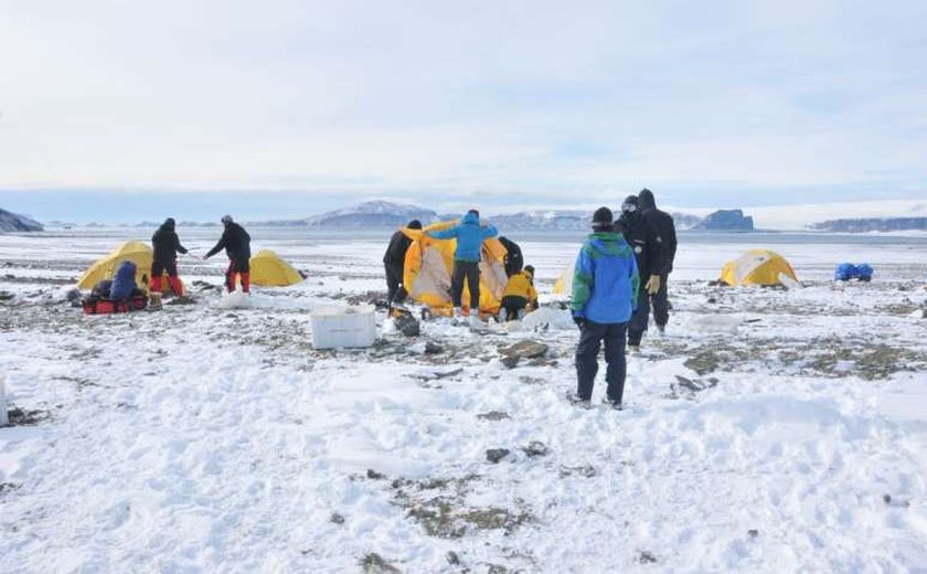 Antártica: micróbios podem ajudar limpeza de poluição