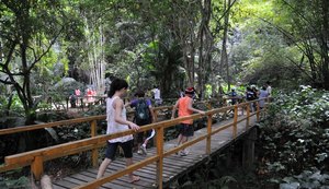 Feriado terá trilha guiada no Parque Municipal de Maceió