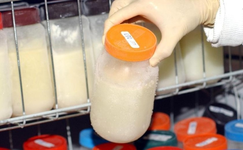 Maceió reforça incentivo à doação de leite humano e alerta para queda no número de doadoras