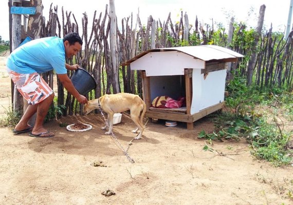 'Tenho amor', diz homem que vendeu casa para cuidar de cães abandonados na PB