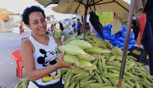 Aumenta oferta de milho verde em Maceió