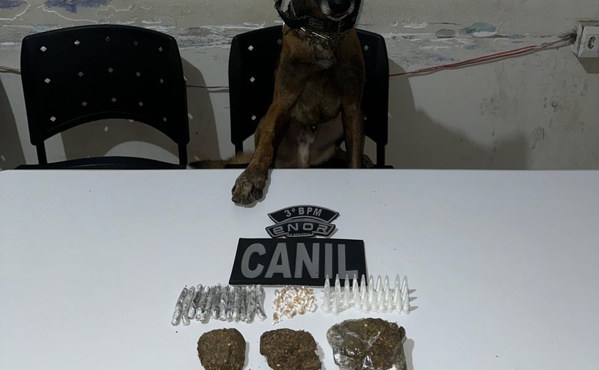 PM/AL apreende 33 armas e quase 14 quilos de drogas em uma semana