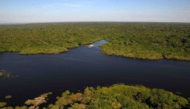 Inscrições estão abertas para o Prêmio Braztoa de Sustentabilidade