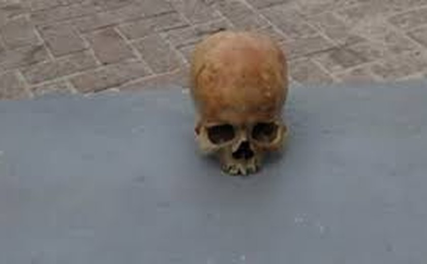 Crânio encontrado em praia de Maceió pode ser de pescador desaparecido há dois anos