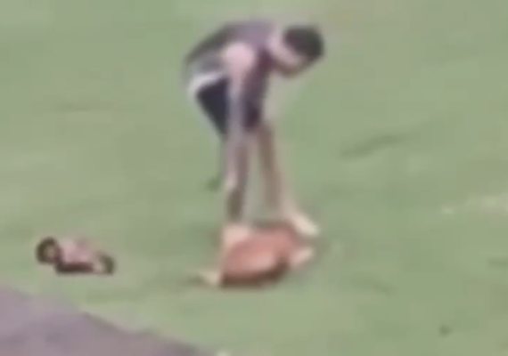 Funcionário de Centro de Equoterapia e Zooterapia é preso por maus-tratos contra cadela