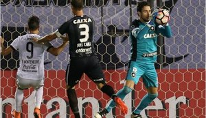 Goleiro Helton Leite tem lesão grave na coxa e desfalca o Botafogo