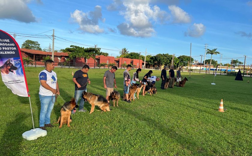 Melhores cães da raça participam de Encontro de Pastor Alemão em Maceió