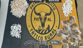PM soma quase 3 mil unidades de drogas apreendidas no interior