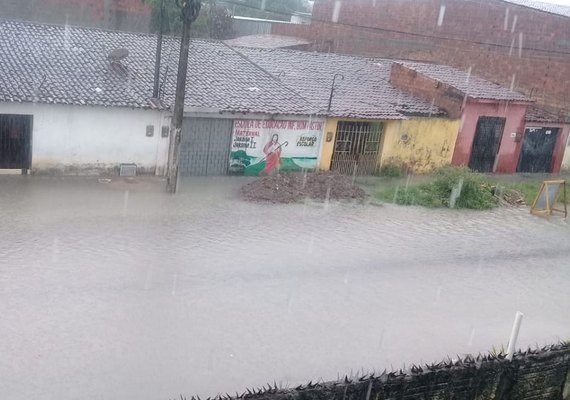 Chuvas causam quedas de árvores e deslizamentos em vários bairros de Maceió