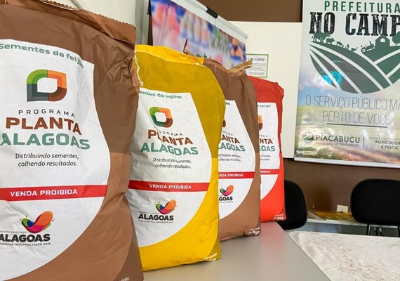 Seagri contempla mais de 600 famílias com distribuição de 57 mil kg de sementes
