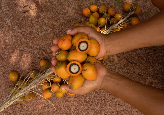 Natura detalha pela primeira vez estratégias financeiras e operacionais frente às mudanças climáticas