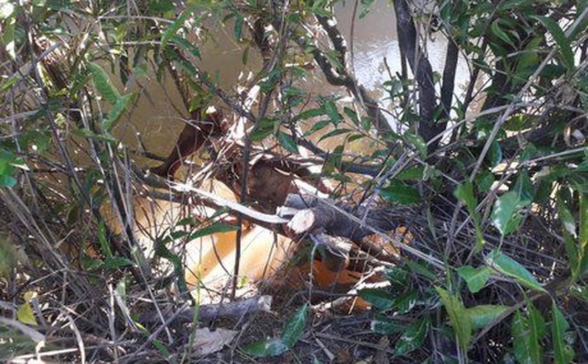Trabalhador rural é encontrado morto em rio de Porto Calvo