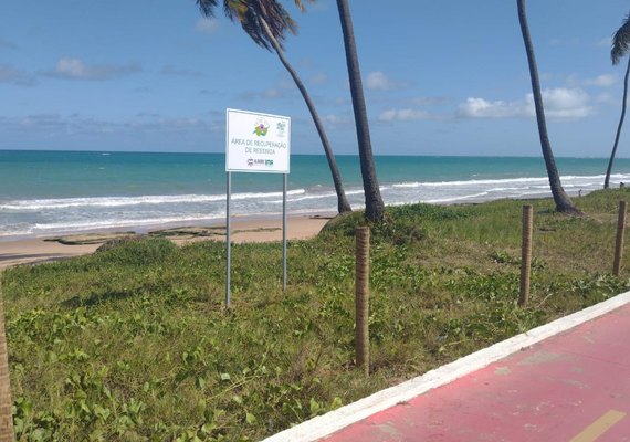 Salsa Viva: projeto de revitalização já cercou 230 mil m² de áreas costeiras