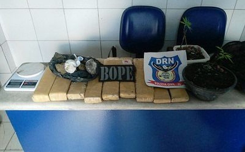 Bope apreende em ação integrada cerca de 12 quilos de drogas no Vale do Reginaldo