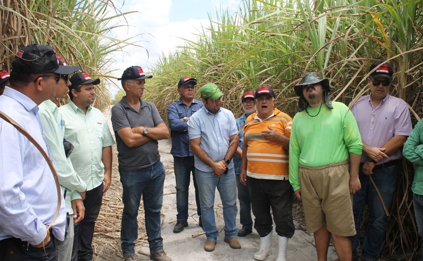Dia de Campo apresenta resultados da irrigação no plantio de cana
