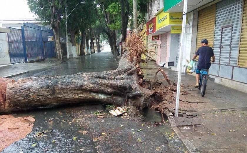 Defesa Civil de Maceió atende ocorrências durante chuvas registradas na capital