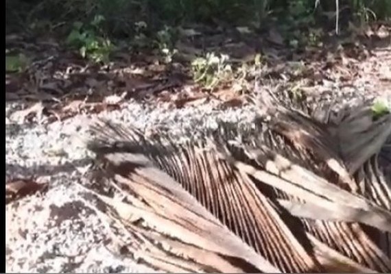 Motociclista é encontrado morto próximo ao veículo no Pontal de Coruripe