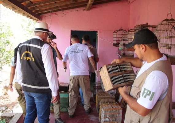 FPI resgata mais de mil animais silvestres em uma semana no Sertão