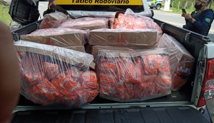 BPRv flagra mais de duas toneladas de frango e lanches transportadas sem câmara fria