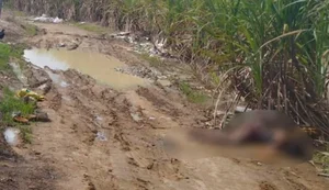 Corpo de mulher é encontrado em mata na Cachoeira do Meirim