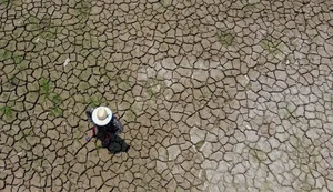 Mudanças climáticas já interferem em secas e cheias na Amazônia