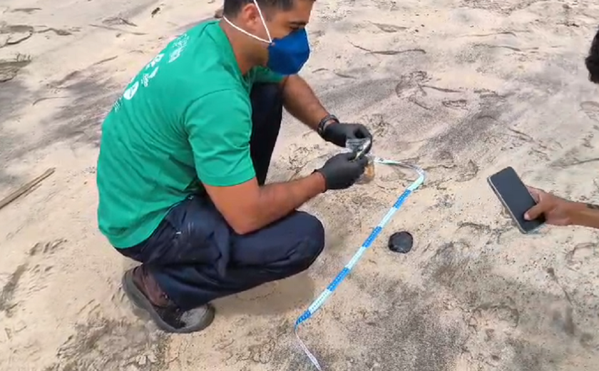 Novos vestígios de óleo são encontrados em praia de Marechal Deodoro