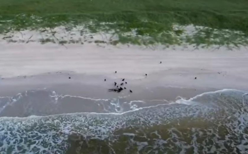 Corpo é encontrado por pedestre na faixa de areia da Praia da Avenida