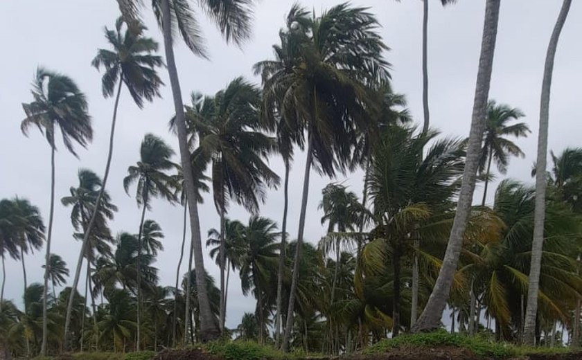 Defesa Civil de Alagoas reforça alerta sobre ventos fortes durante os próximos dias