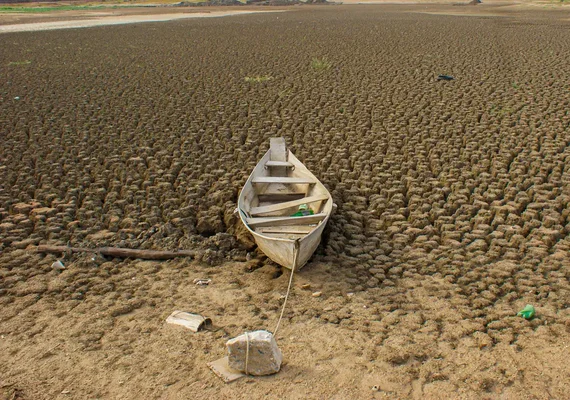 Brasil promete restaurar 163 mil km² de terras degradadas até 2030