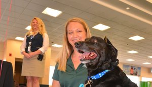 Cachorro vira 'embaixador' de aeroporto nos EUA