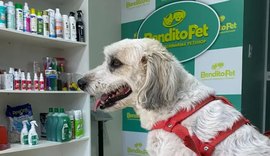 Crescimento do mercado pet amplia oportunidades de negócio em Alagoas