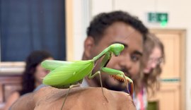 Alunos alagoanos visitam museu de história natural em Bournemouth
