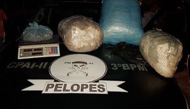 PM apreende 34 quilos de maconha durante operação em São Sebastião