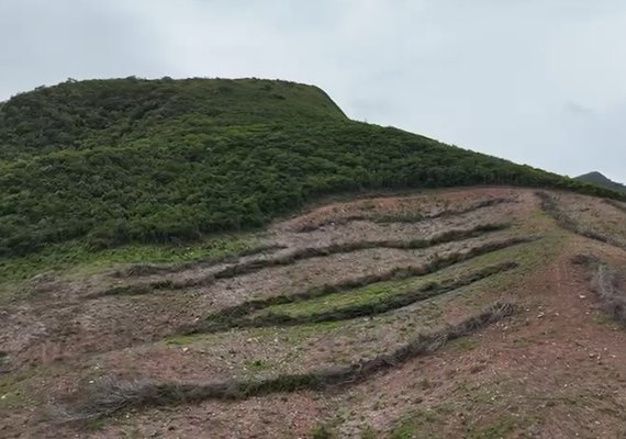 FPI do São Francisco constata maior desmatamento já registrado durante as 15 etapas da fiscalização