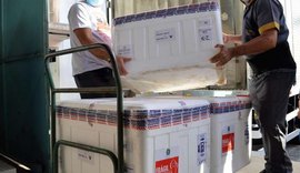 Alagoas recebe 32 mil doses de vacinas da Pfizer pediátrica nesta quarta-feira