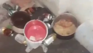 Sete crianças em situação de abandono são retiradas de lar abusivo no interior de AL