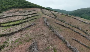 Apontado como maior desmatador da Caatinga em Alagoas é preso pela Polícia Federal